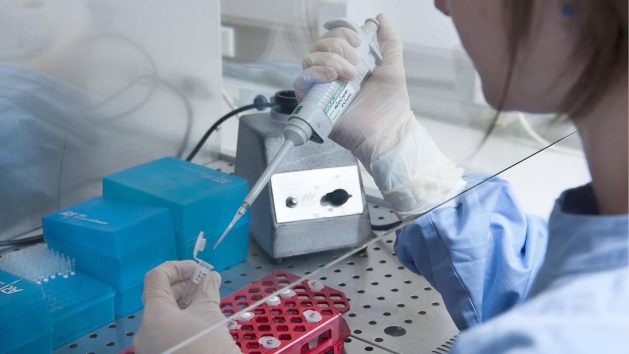Vorbereitung einer Polymerase-Kettenreaktion (engl. Polymerase Chain Reaction, PCR) am 26.08.2010 im Labor der Abteilung für Präimplantationsdiagonistik (PID) an der Universitätsklinik in Brüssel. Bei der PID wird der Embryo auf Erbkrankheiten überprüft. Die gesunden Embryos werden in die Gebärmutter eingepflanzt, die kranken zerstört. 