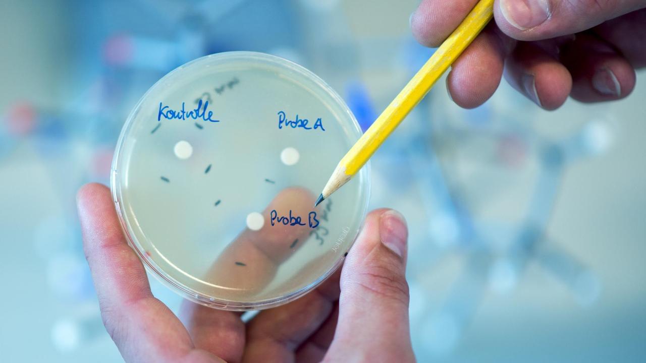 Ein Mann zeigt am 09.08.2016 im Helmholtz-Zentrum für Infektionsforschung in Braunschweig (Niedersachsen) auf eine Petrischale mit unterschiedlichen Antibiotikaproben. 