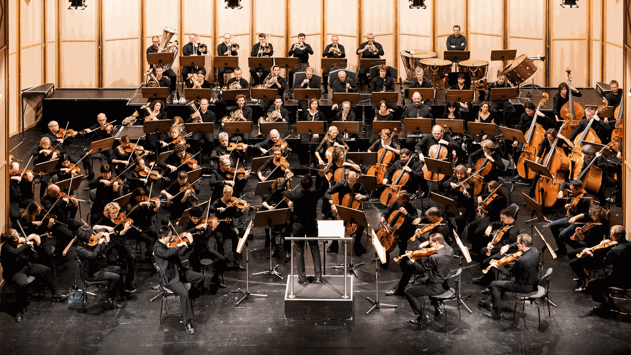 Das Philharmonische Orchester des Staatstheaters Cottbus im Großen Haus