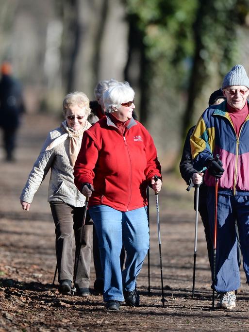Eine Gruppe von Rentnern walkt mit Nordic-Walking-Stöcken auf einem Weg durch einen Wald.