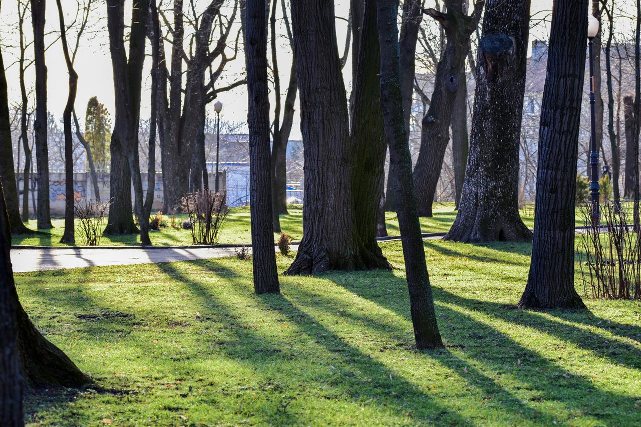 Ein Park in der rumänischen Stadt Iasi.