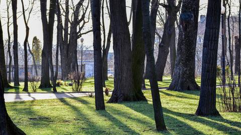 Ein Park in der rumänischen Stadt Iasi.