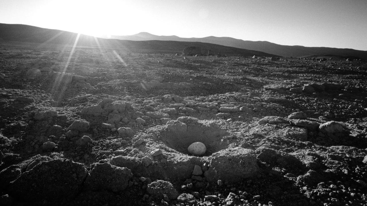 Grandioser Eindruck aus der Atacama: Ein Möwenei in der Wüste, im Hintergrund der Berg Paranal 