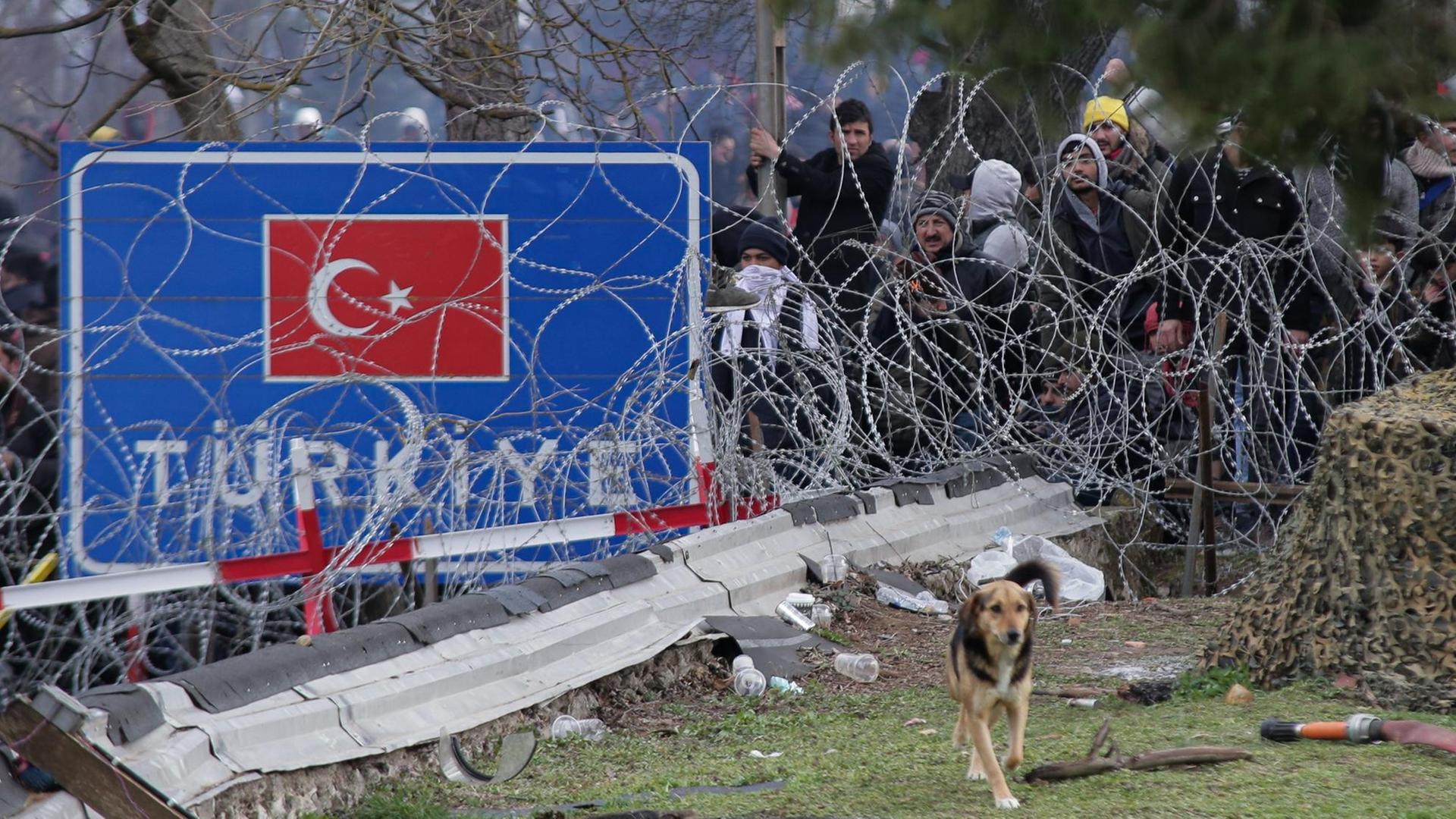 Migranten warten an der türkisch-griechischen Grenze. Die Grenze ist mit Stacheldraht gesichert.