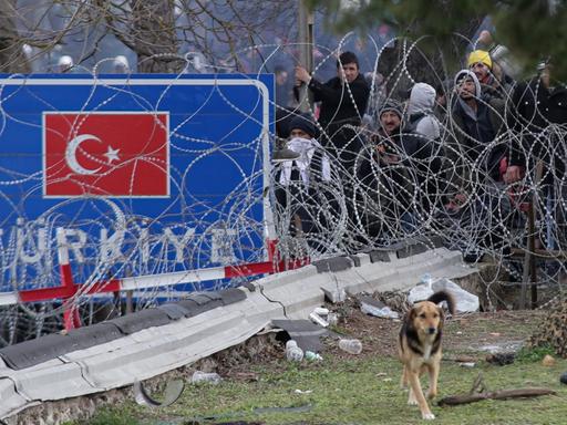 Migranten warten an der türkisch-griechischen Grenze. Die Grenze ist mit Stacheldraht gesichert.