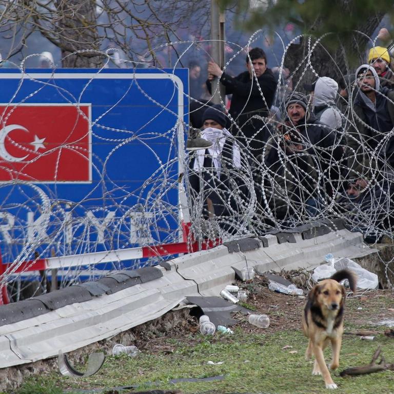 Migranten warten an der türkisch-griechischen Grenze. Die Grenze ist mit Stacheldraht gesichert.