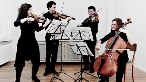 Sonar Quartett
