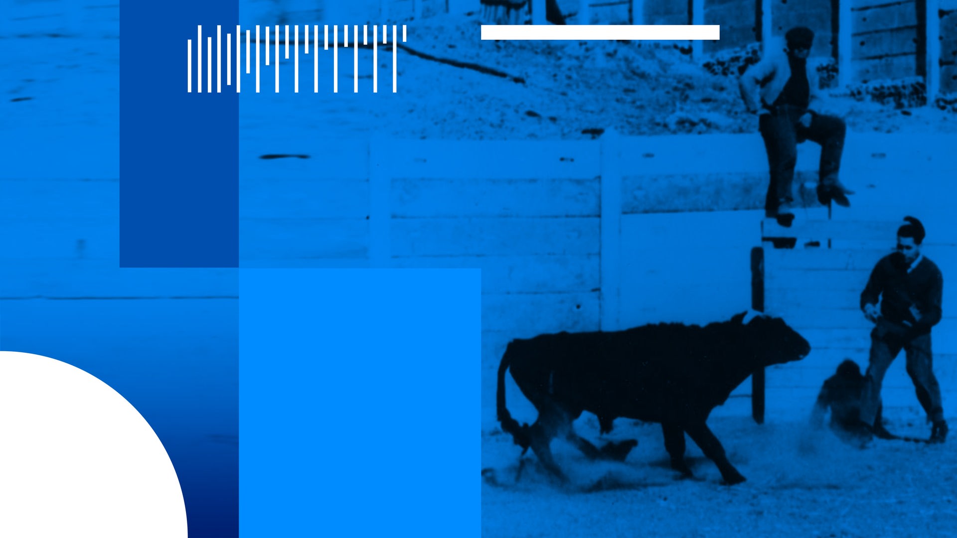 In der Arena implantiert der Hirnchirurg José Delgado Elektroden ins Gehirn des Kampfstiers