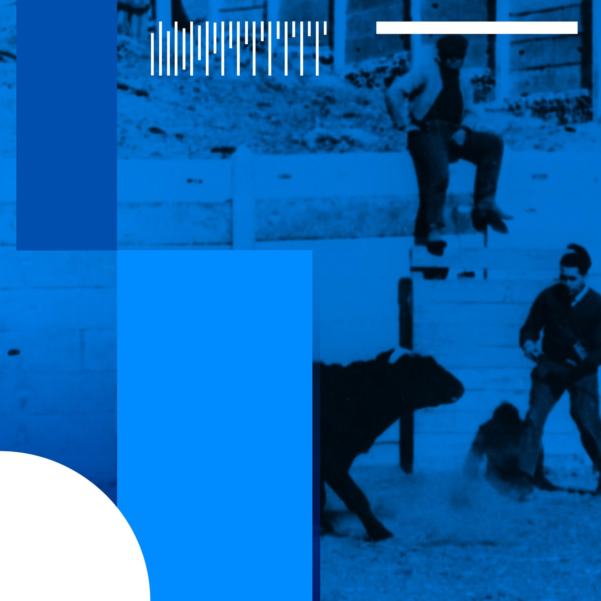 Hirnforschung - Stierkampf mit Fernsteuerung