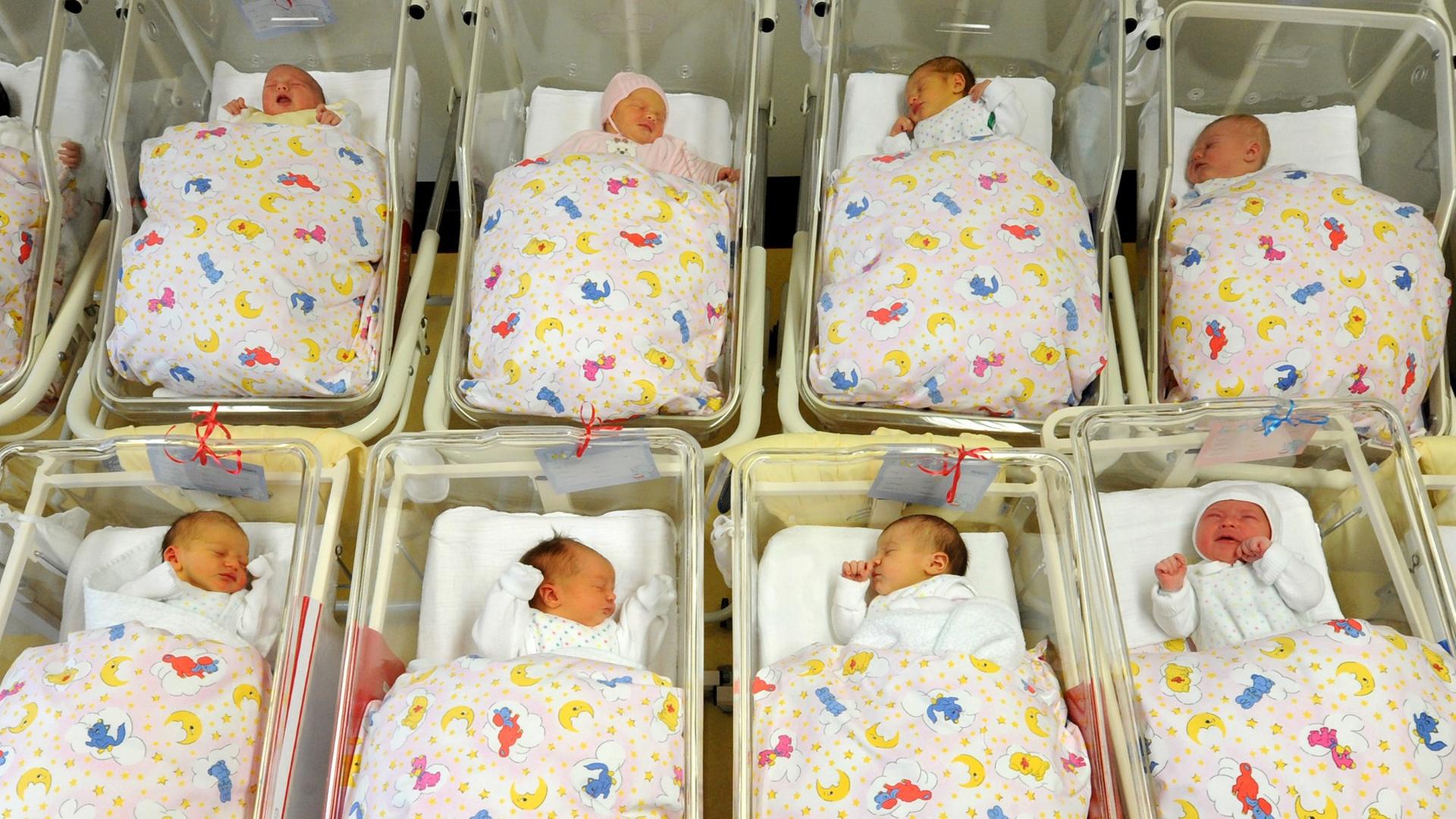 Für ein Foto liegen viele Babys zusammen auf der Neugeborenenstation im Krankenhaus St. Elisabeth und St. Barbara in Halle in ihren Bettchen, aufgenommen am 05.01.2011.