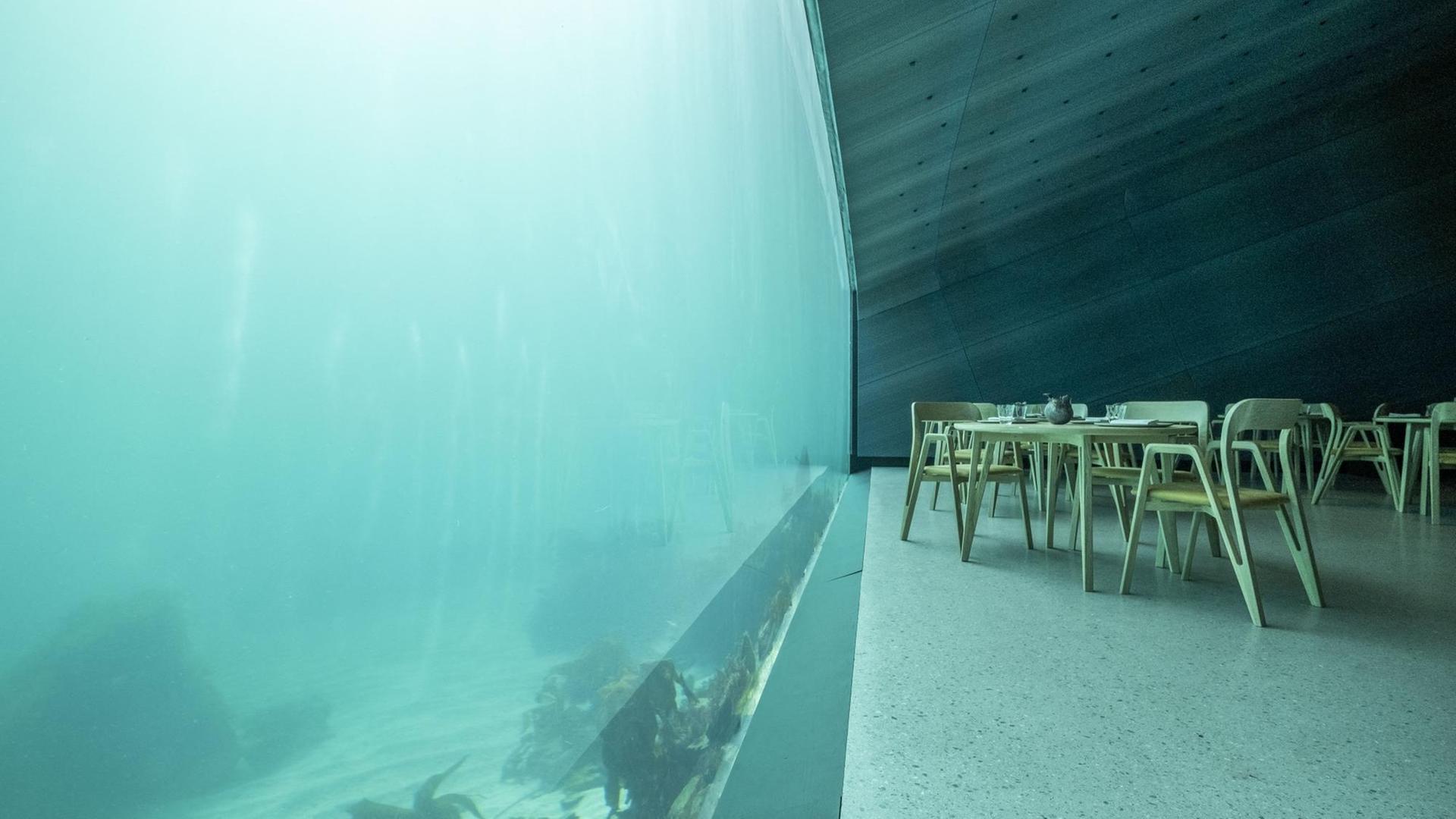 Tische im Restaurant Under stehen direkt neben der Glasscheibe, die einen Blick in den Ozean ermöglicht.