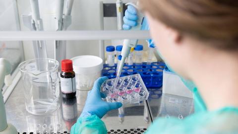 Forscherin im medizinischen Labor bearbeitet Proben mit Antibiotika.