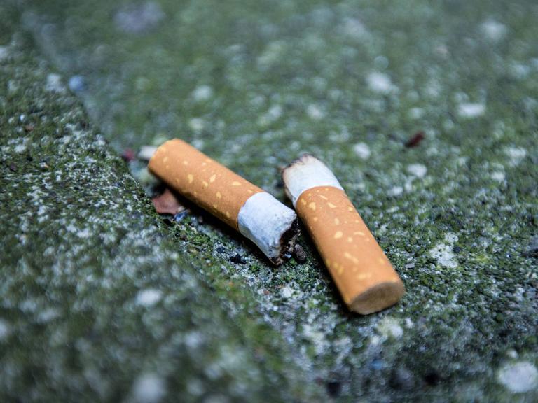 Zwei Zigarettenkippen liegen auf der Straße.