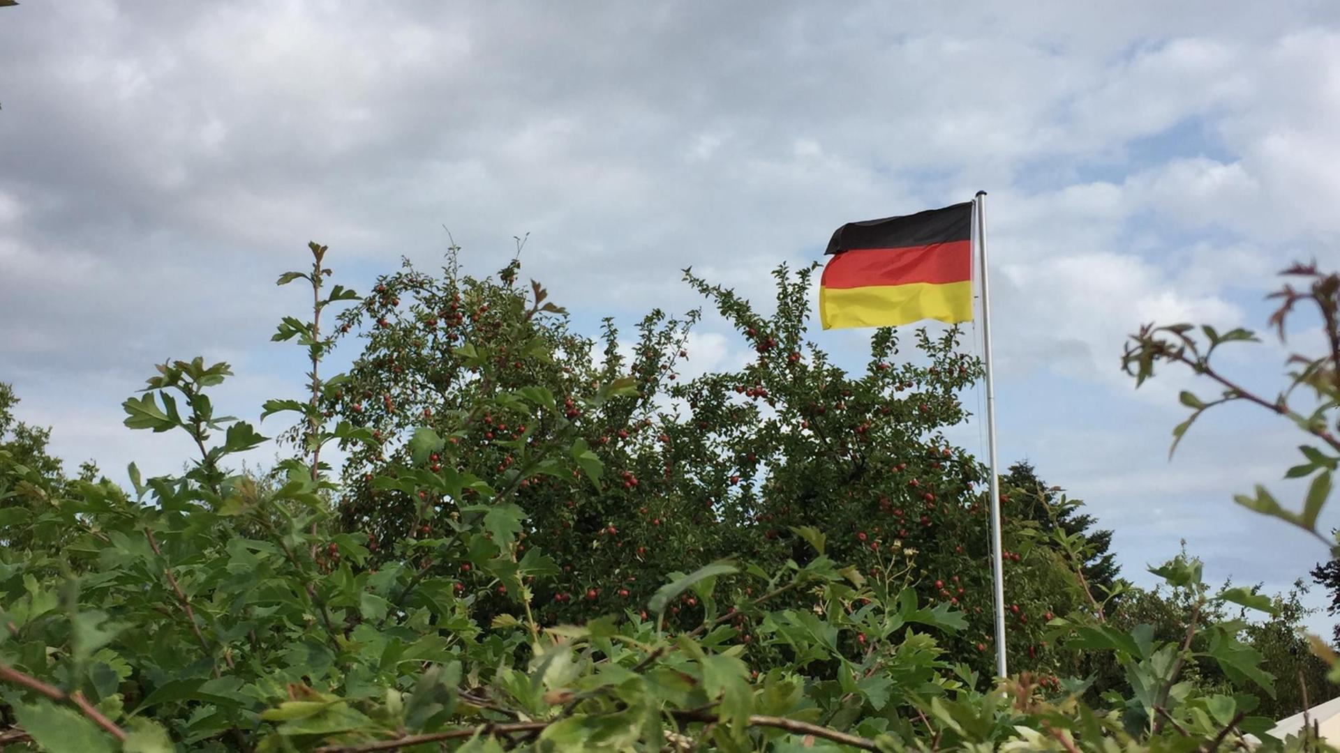 Ein Gebüsch aus dem eine Fahnenstange mit der deutschen Flagge herausragt.