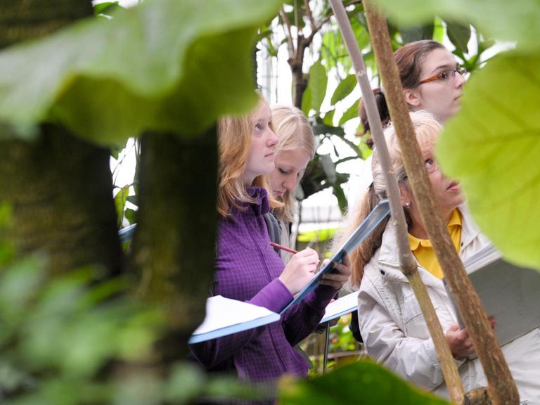 Schüler machen sich Mitschriften während ihres Ausfluges in das Tropenhauses des Botanischen Gartens in Halle.