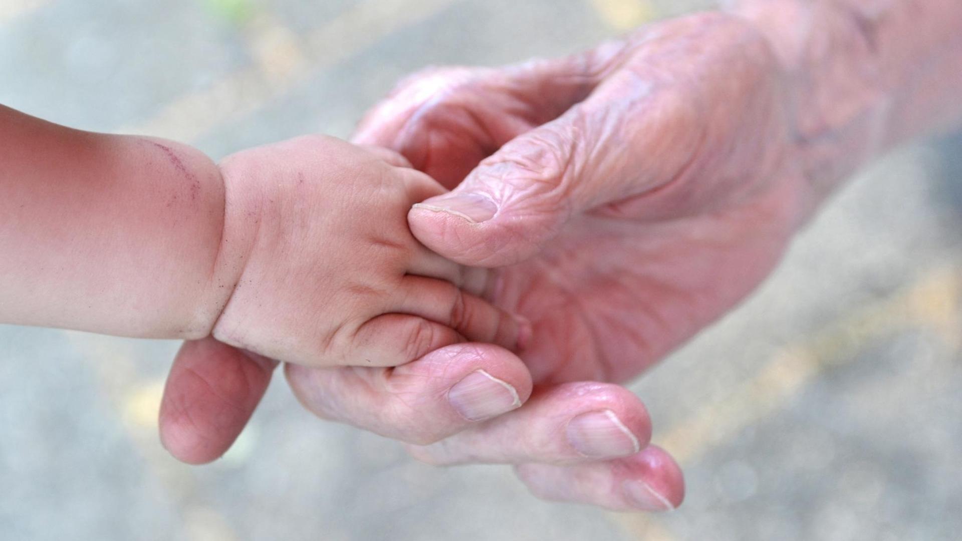 Eine Babyhand liegt in der Hand eines alten Menschen.