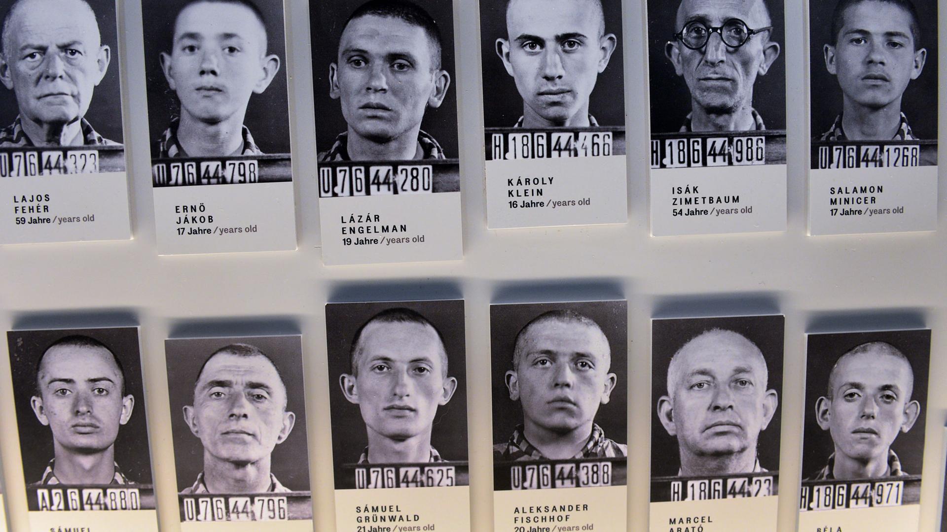 Karteifotos der Gestapo mit ungarischen Juden, zu sehen in der neuen Dauerausstellung "Buchenwald. Ausgrenzung und Gewalt 1937 bis 1945" in Buchenwald bei Weimar.