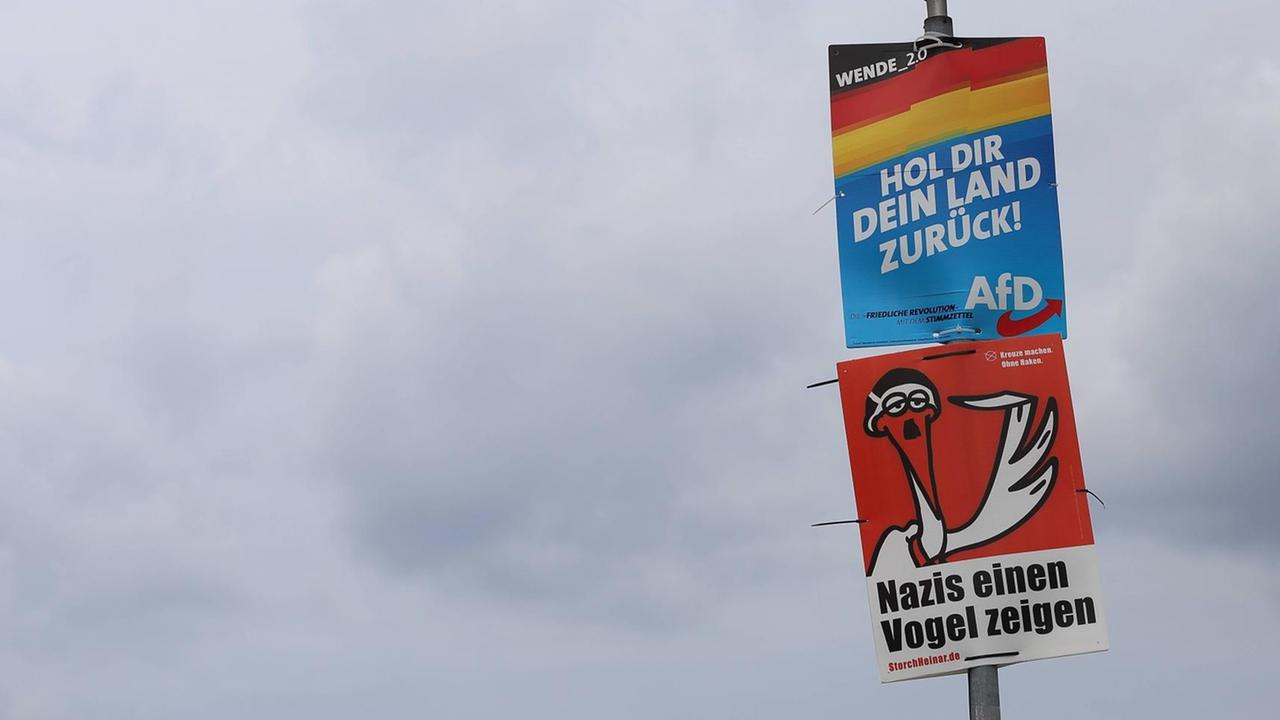 Wahlplakat der AfD und ein Plakat der Kampagne Storch Heinar für die Landtagswahl in Brandenburg