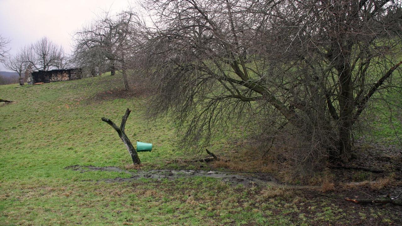Sickerwasser in der Verlängerung der stillgelegten Müllkippe "Kuhfriedhof" in Dettingen an der Erms in Baden-Württemberg.