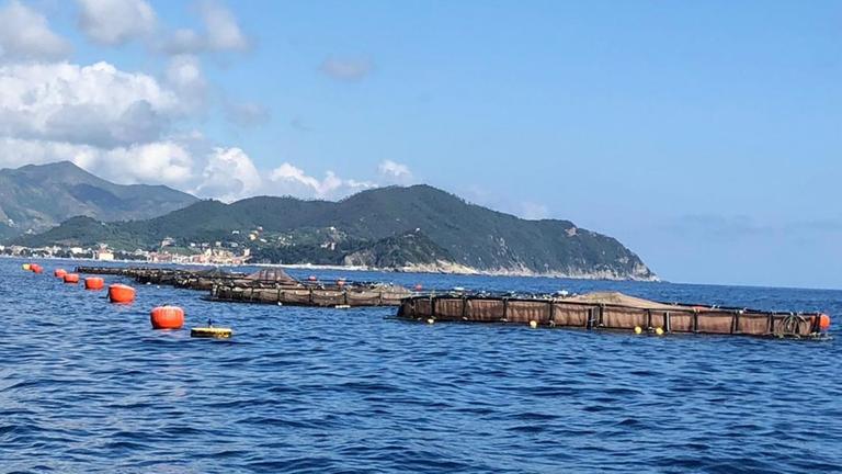 Aquakultur vor der Küste Liguriens