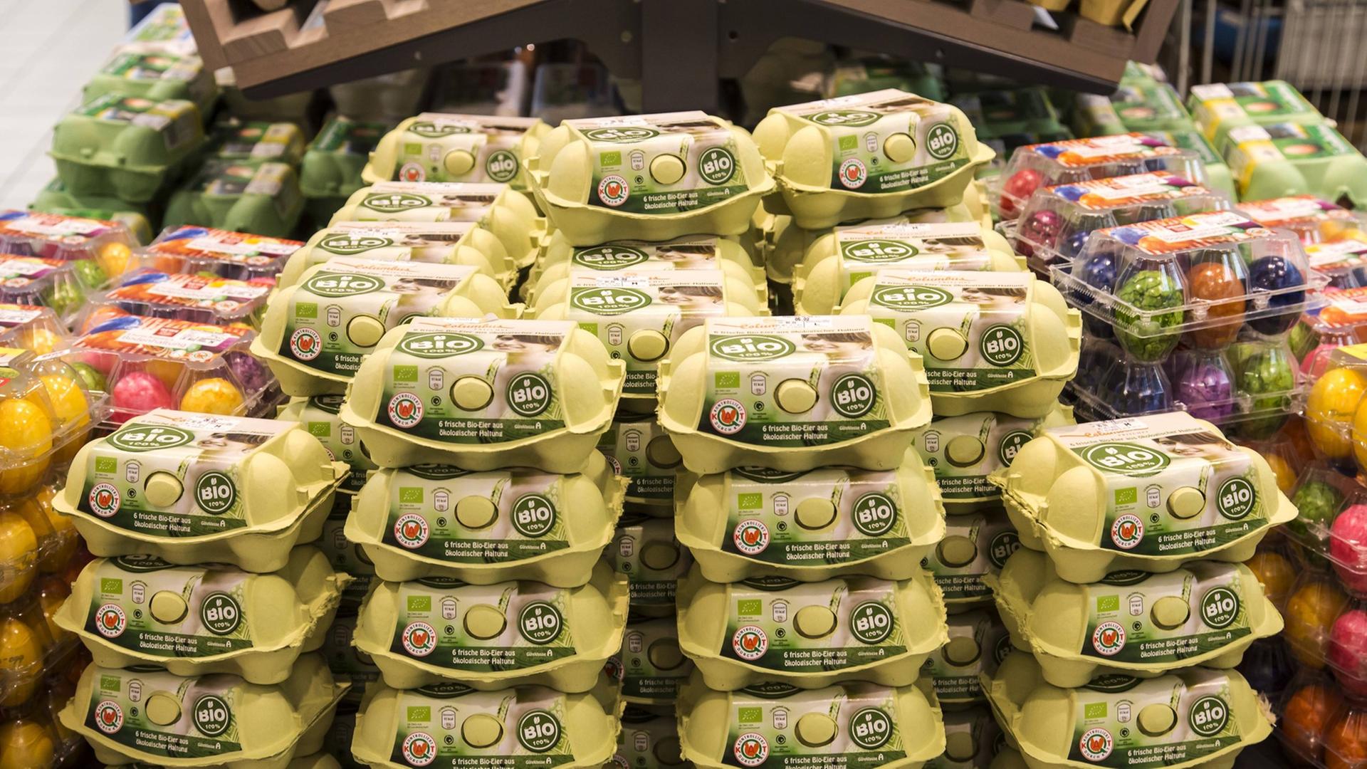In einem Supermarkt stehen stehen abgepackte Eier in einem Regal.