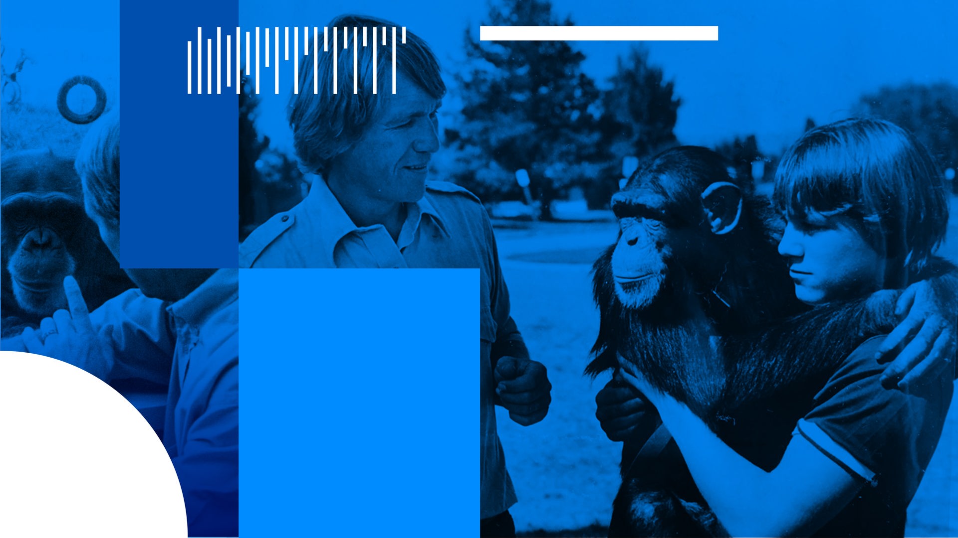 Washoe gehört zur Familie. Bis an ihr Lebensende feiert die Familie Fouts Geburtstage und Weihnachten mit der Schimpansin