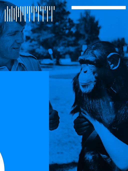 Washoe gehört zur Familie. Bis an ihr Lebensende feiert die Familie Fouts Geburtstage und Weihnachten mit der Schimpansin