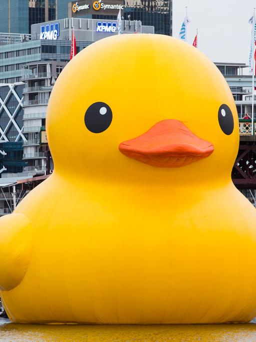 Eine riesige Skulptur in Form eine gelben Ente schwimmt im Hafen von Sydney.