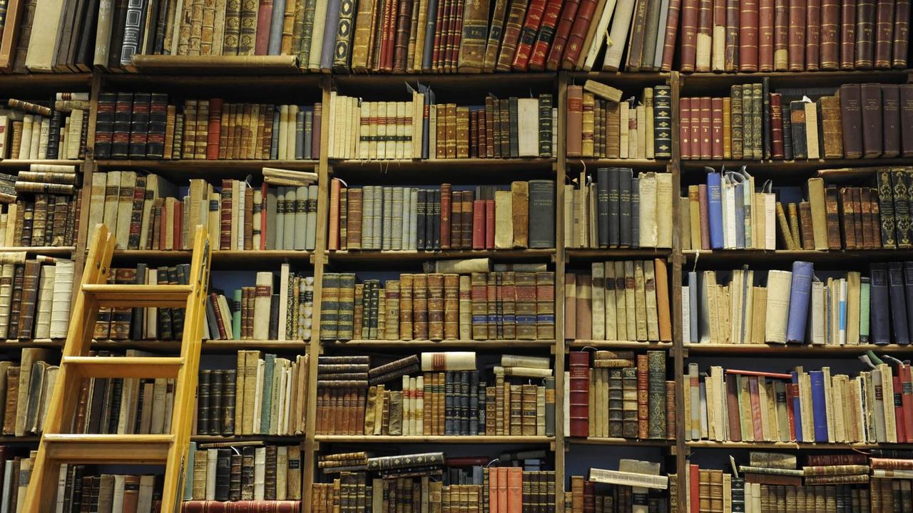 Blick auf eine Bücherwand in einem Antiquariat. Auf den Regalen stehen schön eingebundene alte Bücher, am Regal lehnt eine braune Holzleiter.