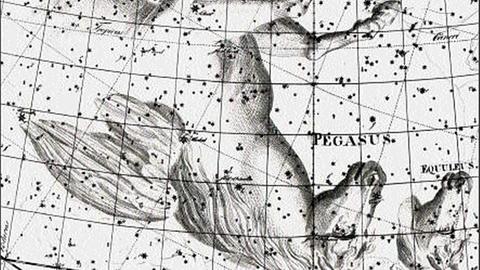 Das Sternbild Pegasus in einer historischen Darstellung