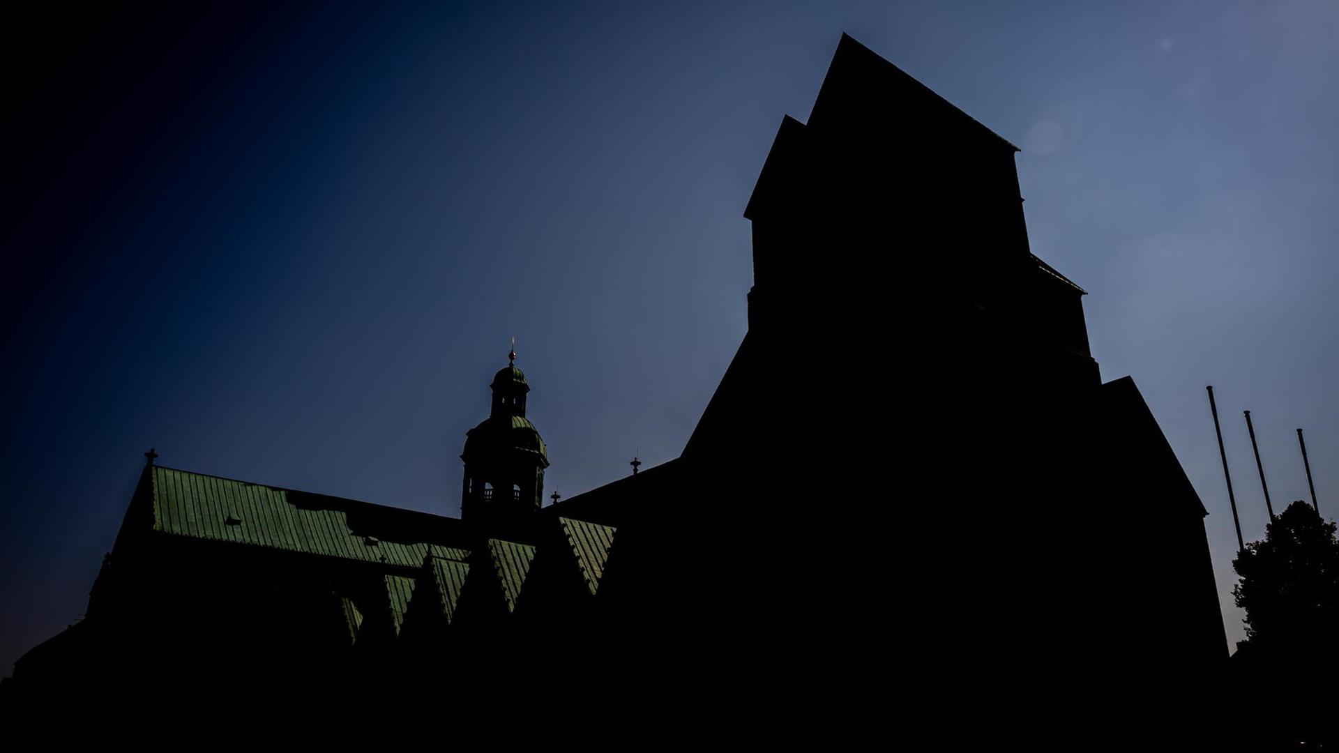 Die schwarze Silhouette vor einem dunkelblauen Himmel aus einer niedrigen Position fotografiert. Die schwarze Silhouette vor einem dunkelblauen Himmel aus einer niedrigen Position fotografiert.