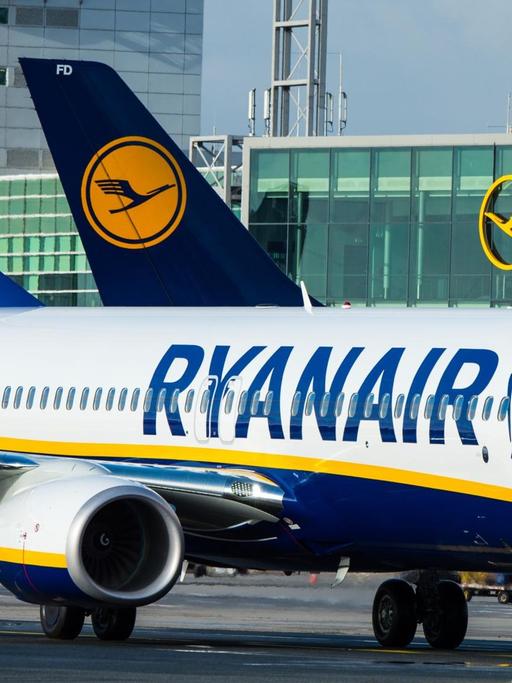Ein Flugzeug der Fluglinie Ryanair rollt am 02.11.2016 auf den Flughafen in Frankfurt/M. (Hessen)