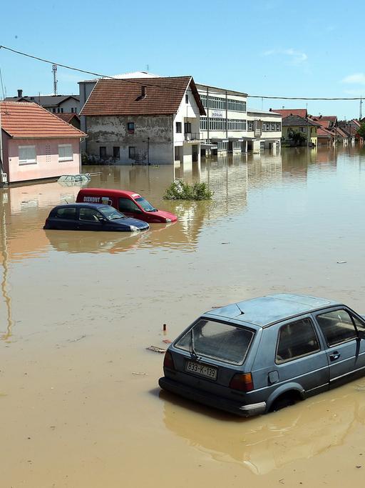 Zerstörerische Fluten: Hochwasser in der Ortschaft Bosanski im Norden Bosniens.