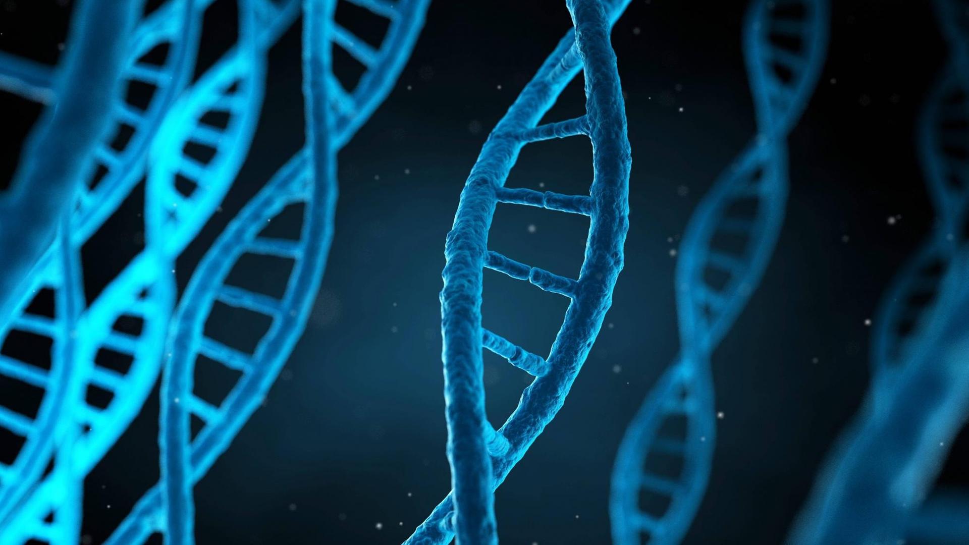 Strang der menschlichen DNA (Computersimulation).