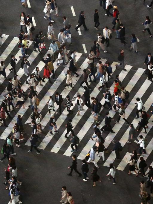 Luftaufnahme auf die Shibuya-Kreuzung in Tokio.