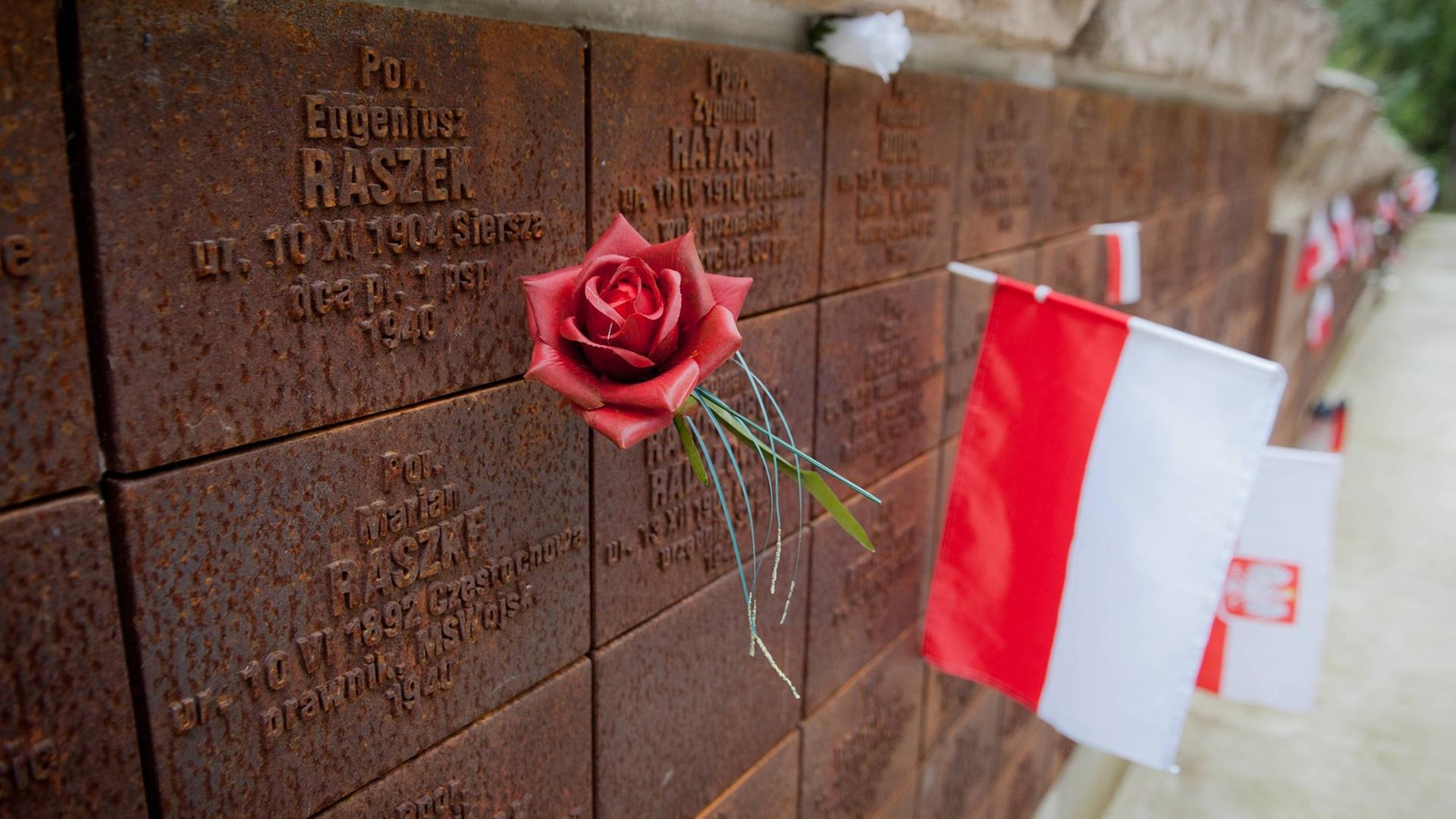 Gedenkstätte für die Opfer des Massenmords von Katyn. Eine polnische Flagge und eine rote Rose stecken an einer Mauer mit eingravierten Namen.