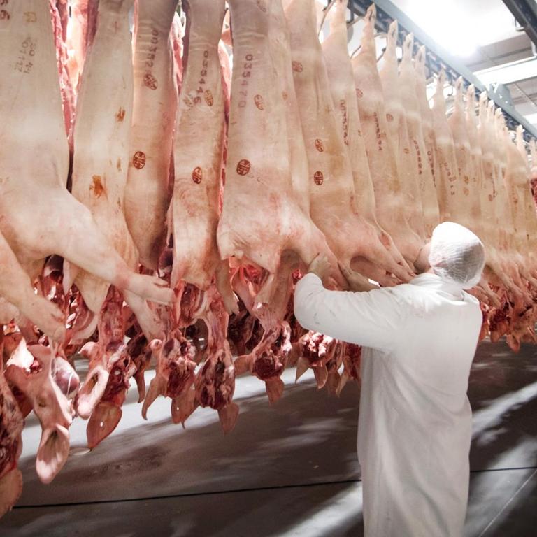 Fleischbetriebe - Bundesverfassungsgericht: Verbot von Werksverträgen und Leiharbeitskräften in der Fleischwirtschaft rechtens