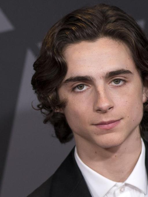 Der US-amerikanische Schauspieler Timothée Chalamet bei den Governors Awards 2017.