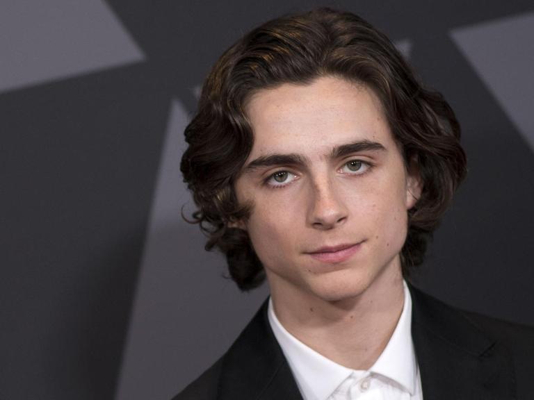 Der US-amerikanische Schauspieler Timothée Chalamet bei den Governors Awards 2017.