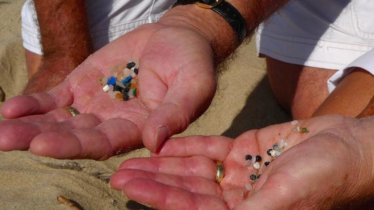 Diese Kunststoffpartikel schwemmt die Nordsee an - Hans und Marja van Weenen sammeln Kunststoff am Strand.