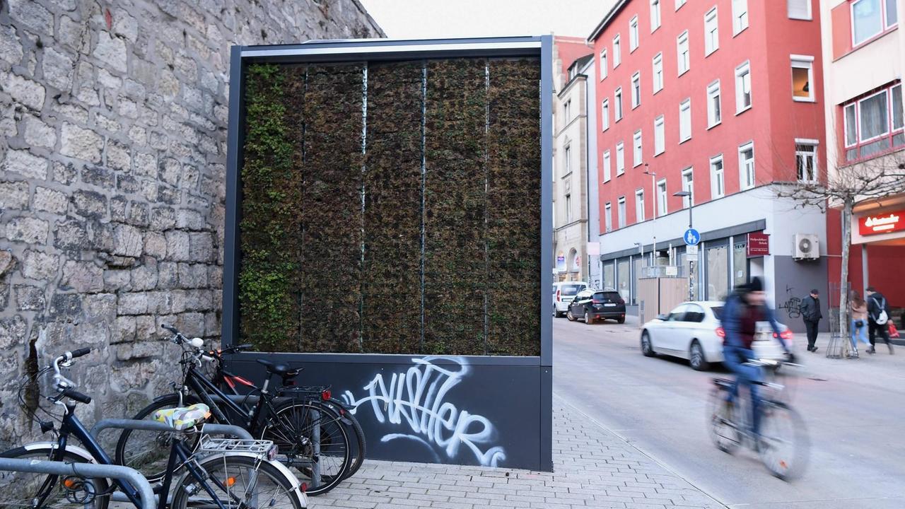 Eine Mooswand zur Reinigung der schlechten Luft hat die Stadt Tuebingen in der Innenstadt in der Mühlstrasse installiert.