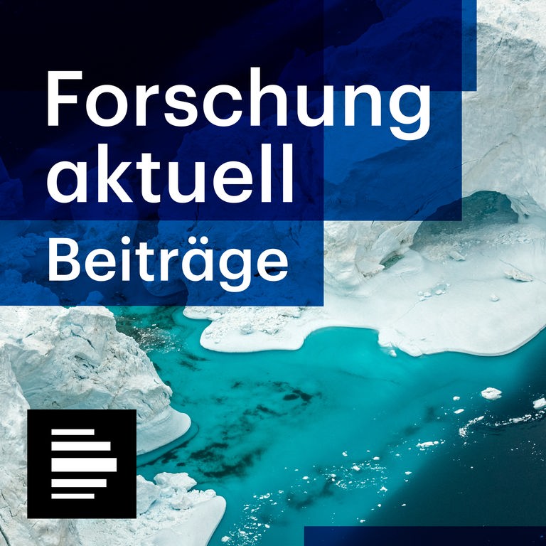Das Cover für die Sendereihe "Forschung aktuell" zeigt auf dem Meer schwimmende Eisschollen 