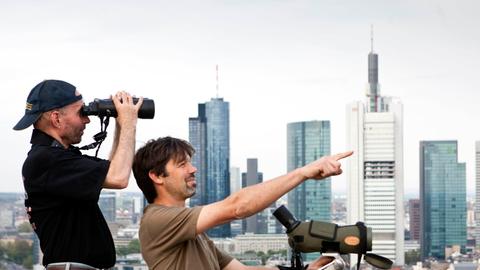Die Hobby-Ornithologen Witiko Heuser (l) und Ingo Rösler (r) stehen mit ihren Feldstechern und Spektiven auf dem Dach des Posthochhauses der Commerzbank am Rande des Hauptbahnhofs von Frankfurt am Main