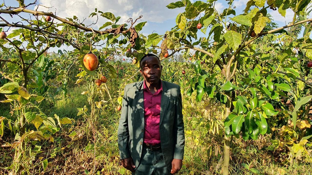 Bauer Emanuel Itirize steht zwischen Tomatenbäumen. Er trägt extra einen Anzug mit Hemd.
