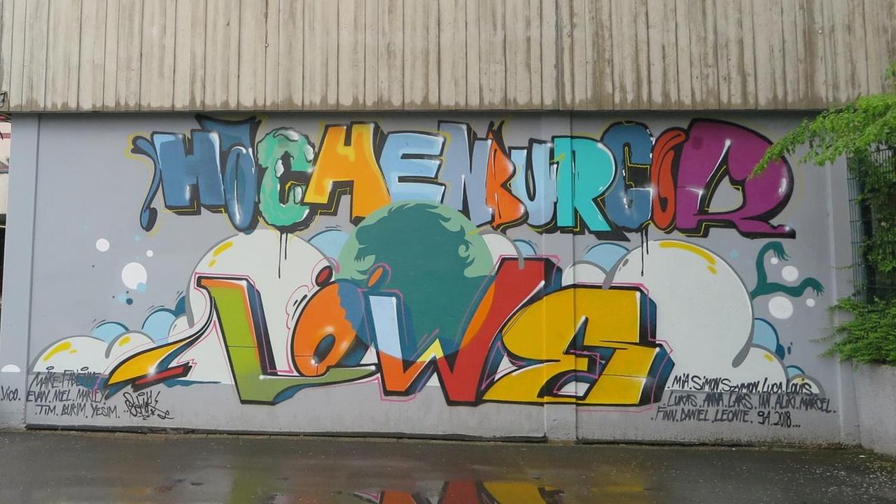 Graffiti Fachoberschule Hachenburger Löwe in Rheinland-Pfalz