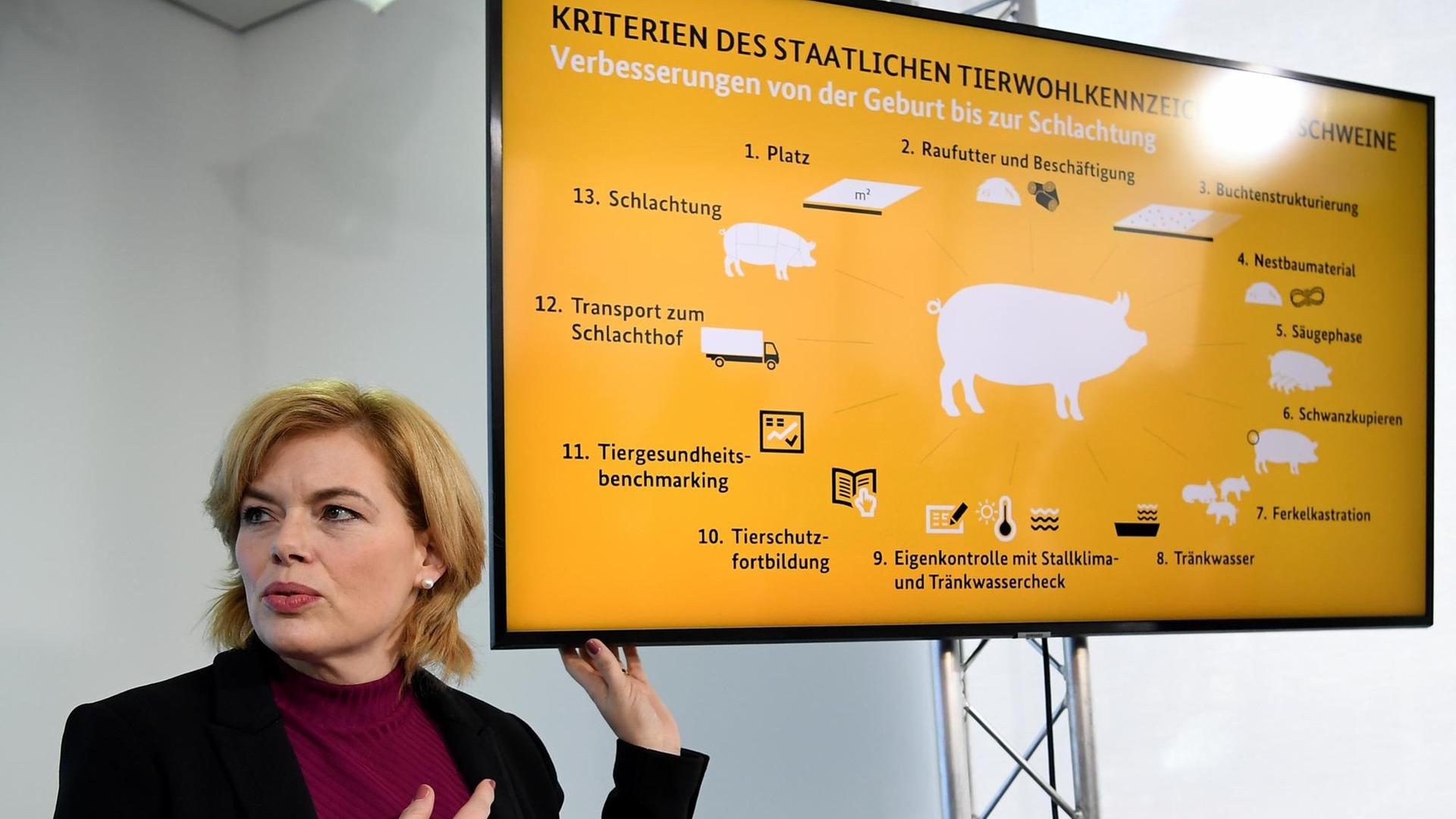 Bundeslandwirtschaftsministerin Julia Klöckner (CDU) bei der Vorstellung der Kriterien für das staatliche Tierwohlkennzeichen im Februar