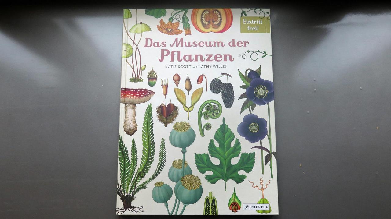 Buchcover: "Das Museum der Pflanzen" von Kathy Willis (Autorin) und Katie Scott (Illustratorin)
