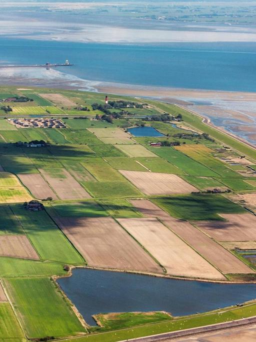 Insel Pellworm, Luftbild vom Schleswig-Holsteinischen Nationalpark Wattenmeer