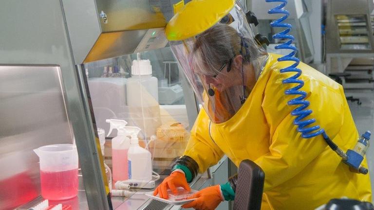 Tiermedizinerin Anne Balkema-Buschmann untersucht Zellproben. Über den blauen Schlauch erhalten die Wissenschaftler im Hochsicherheitslabor Frischluft