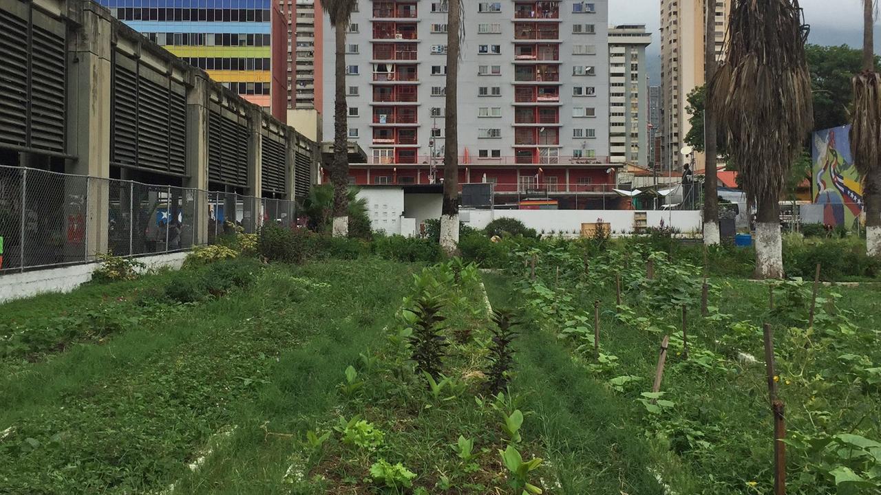 Ein Stadtgarten im Zentrum der venezolanischen Stadt Caracas